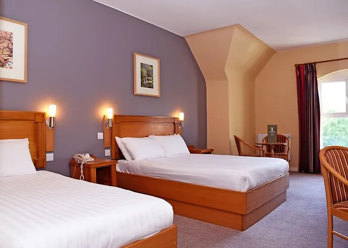 Hotel Springs Shannon